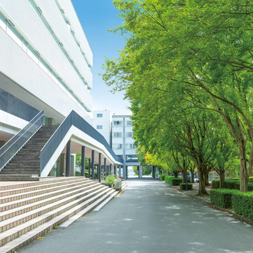 中部大学4