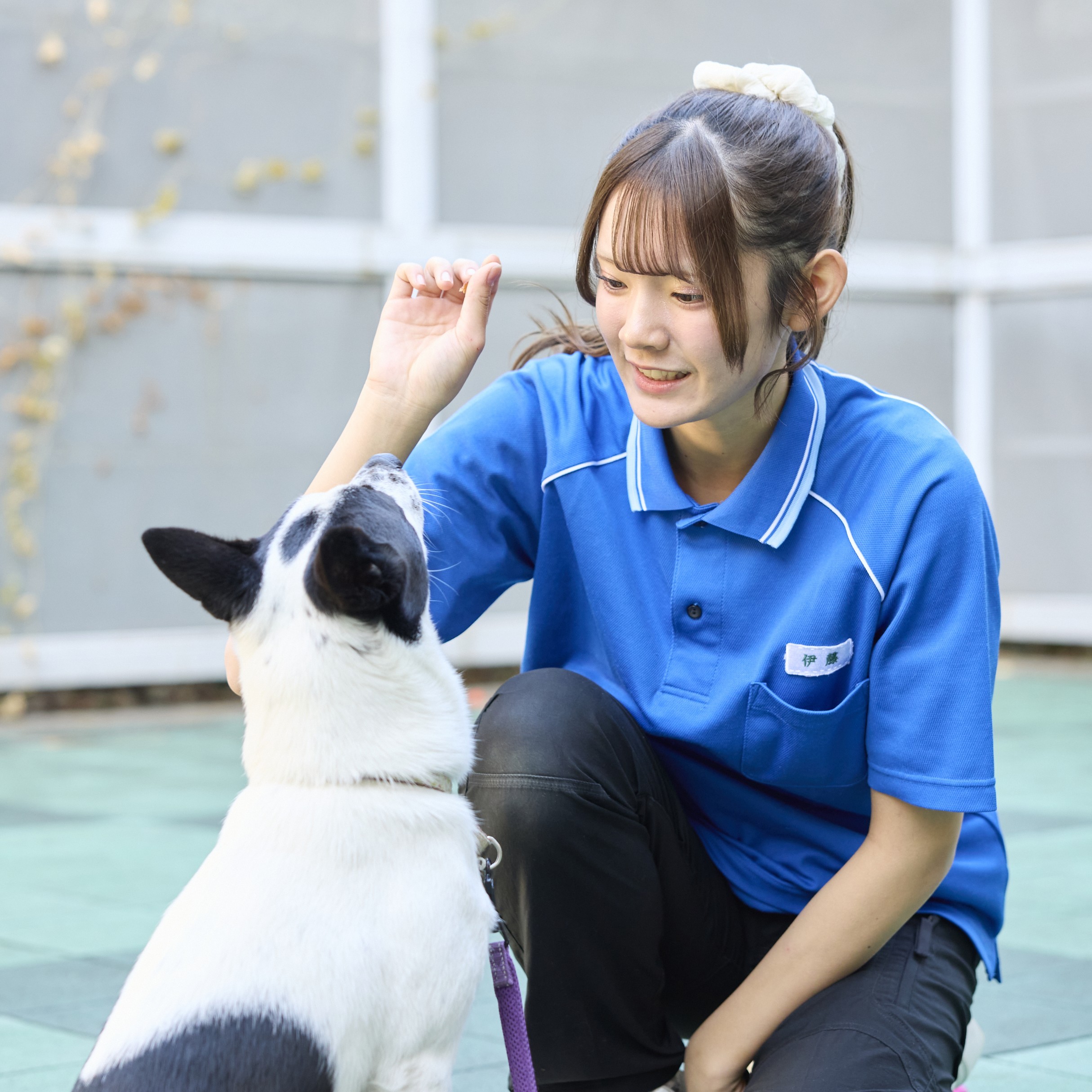 大宮国際動物専門学校のオープンキャンパス