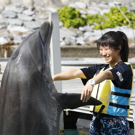 専門学校 九州 沖縄の水族館スタッフを目指せる学校特集 オススメ2校 ｊｓ日本の学校