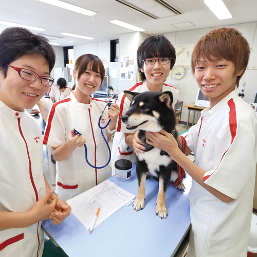 日本動物専門学校 学校案内や願書など資料請求 Js日本の学校