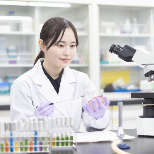純真学園大学3