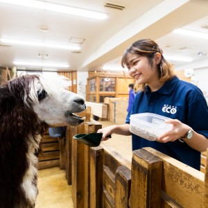 専門学校 大阪の動物関連の職業を目指せる学校特集 オススメ5校 ｊｓ日本の学校