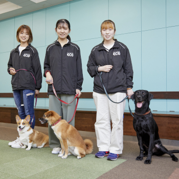 名古屋ＥＣＯ動物海洋専門学校のオープンキャンパス