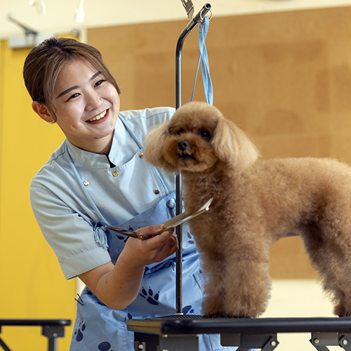 ヤマザキ動物看護専門職短期大学の写真
