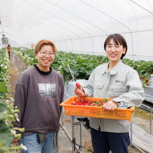 奈良県立なら食と農の魅力創造国際大学校