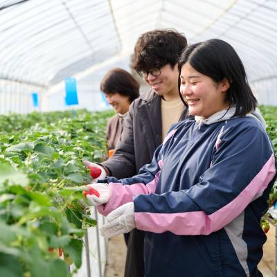 奈良県立なら食と農の魅力創造国際大学校3