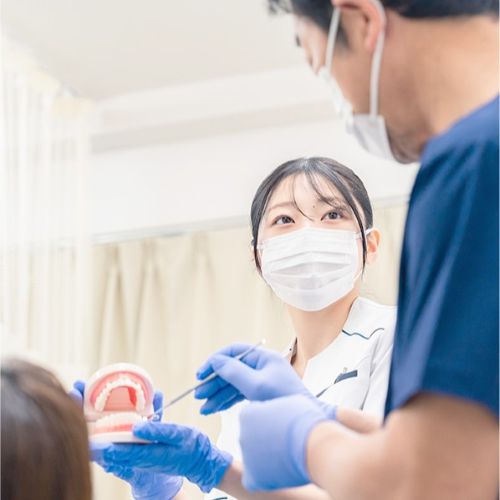東京メディカル歯科専門学校
