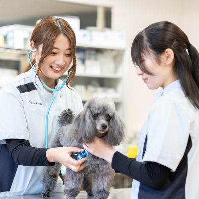 【愛玩動物看護科】
オープンキャンパス／仙台総合ペット専門学校