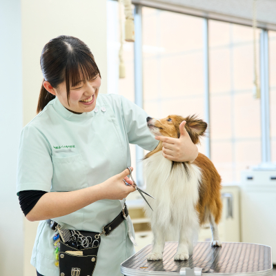仙台総合ペット専門学校