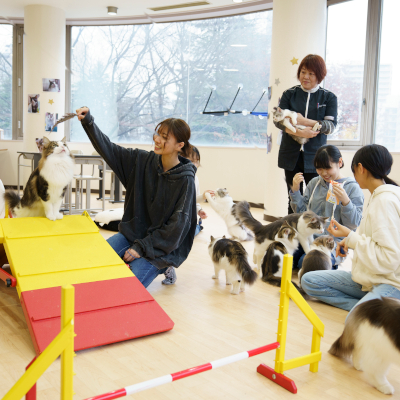 【トリマー科キャットコース】
オープンキャンパス／仙台総合ペット専門学校