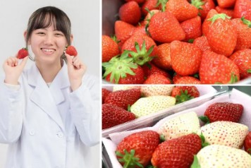 専門学校 東京テクニカルカレッジ