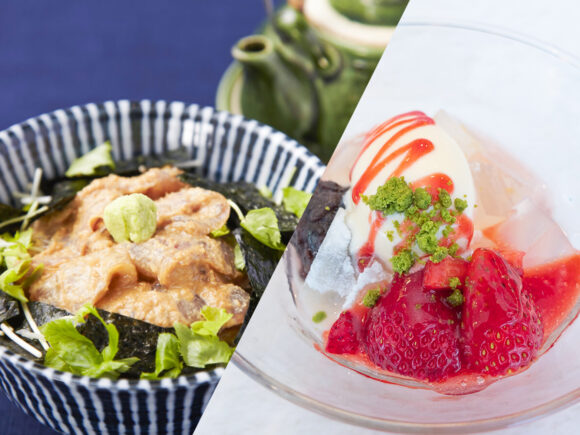 服部栄養専門学校