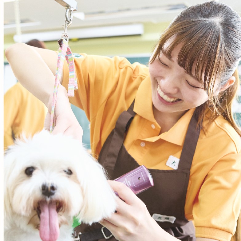 国際動物専門学校