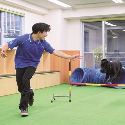 国際動物専門学校