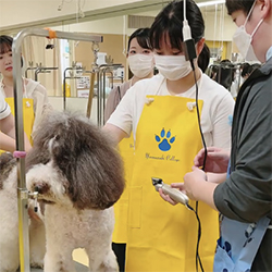 来校型オープンキャンパス　半日コース／ヤマザキ動物専門学校