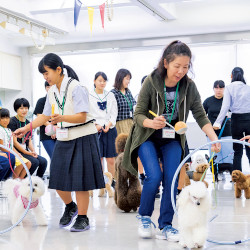 広島情報ビジネス専門学校 学校案内や願書など資料請求 Js日本の学校