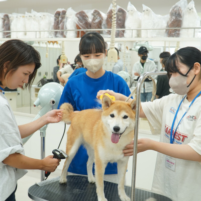 何度でも参加OK！
JBオープンキャンパス
＜全コース対象＞／広島情報ビジネス専門学校