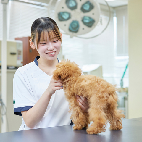大宮国際動物専門学校