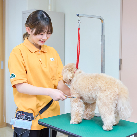 大宮国際動物専門学校