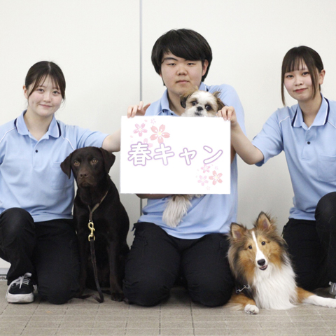 春キャン／大宮国際動物専門学校
