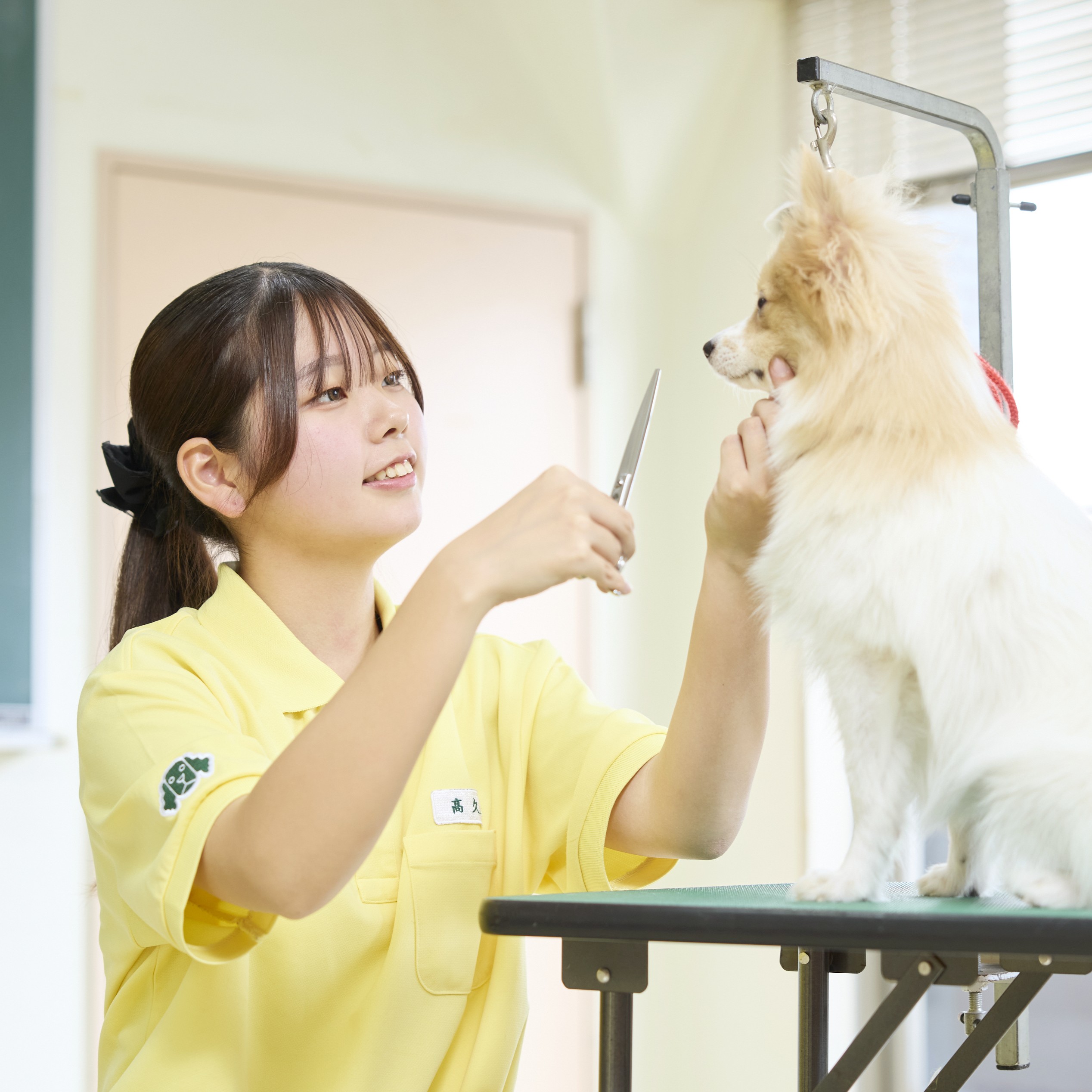 大宮国際動物専門学校
