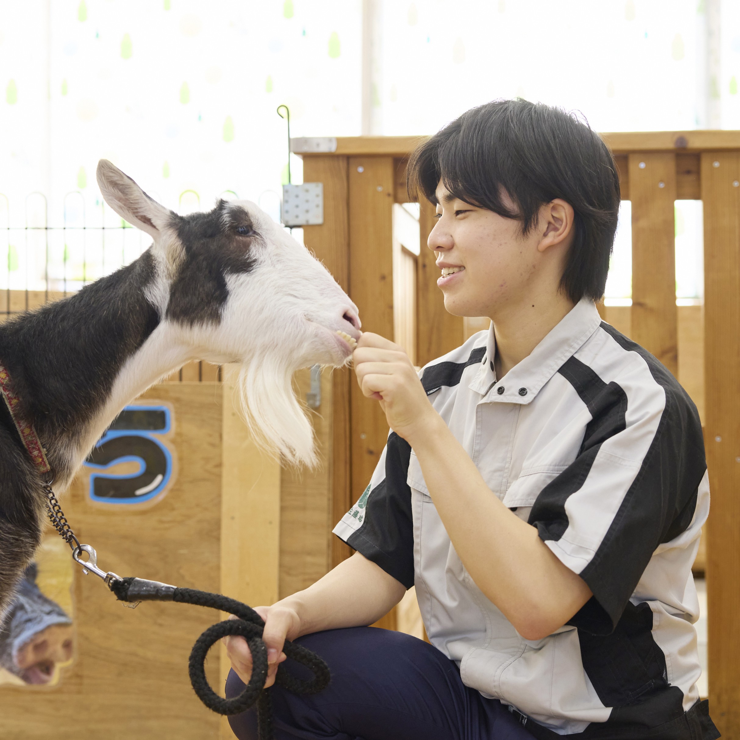 大宮国際動物専門学校