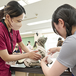 １日体験入学(ランチ付き)／中央動物専門学校