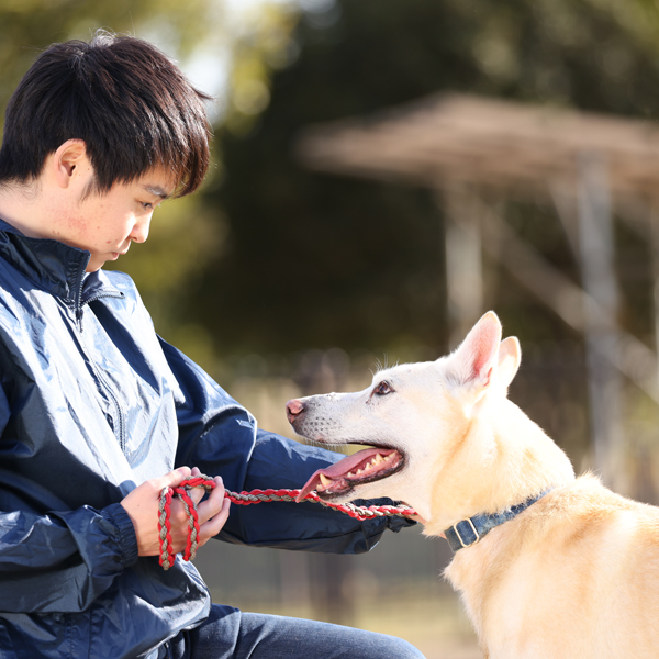 高崎動物専門学校