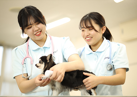 太田動物専門学校 学校案内や願書など資料請求 Js日本の学校