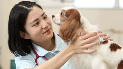 太田動物専門学校 学校案内や願書など資料請求 Js日本の学校