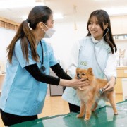 動物分野の適職発見フェスタ／福岡ＥＣＯ動物海洋専門学校