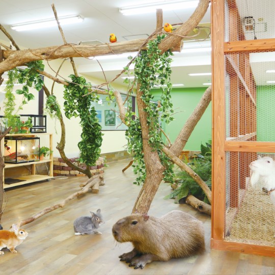 平日プレミアム学校見学会／福岡ＥＣＯ動物海洋専門学校