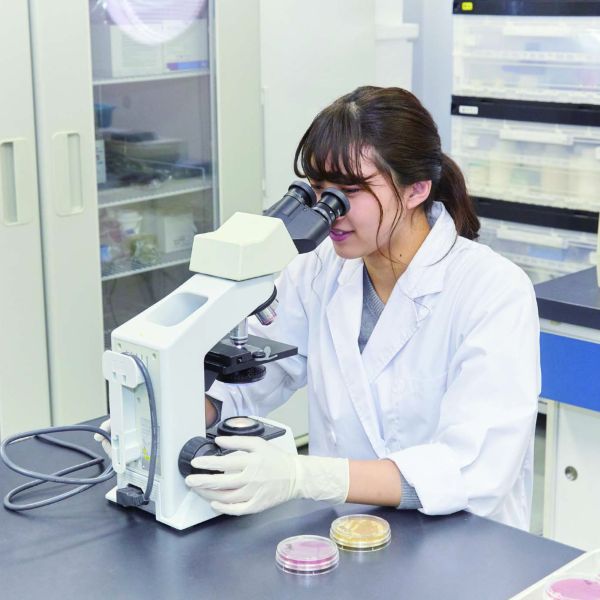 東京医療保健大学