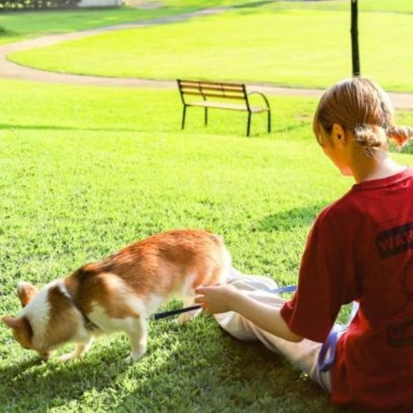 家族・愛犬と行けるフリー見学in名犬キャンパス 8/10／群馬動物専門学校