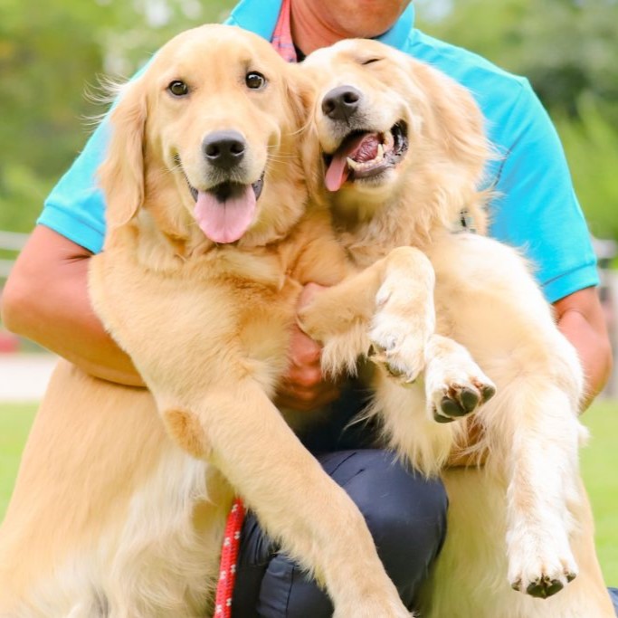 群馬動物専門学校