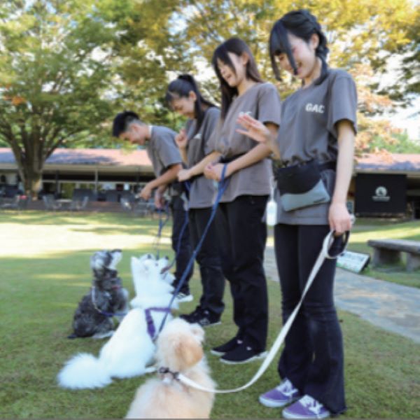 きずなで動く！パートナー犬と学ぶトレーニング体験／群馬動物専門学校
