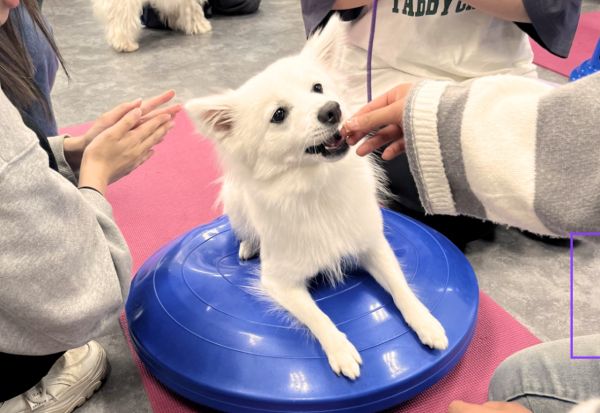 群馬動物専門学校