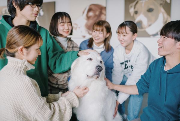 3つのコース全部体験！［6/21(日)］／群馬動物専門学校