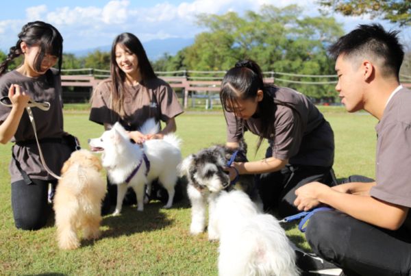 【好評につき第２弾開催】パートナー犬お披露目！トレーナー体験 in 名犬キャンパス／群馬動物専門学校