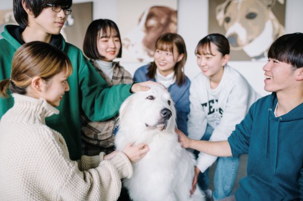 選べる２分野体験！気になる分野を深く知ろう／群馬動物専門学校