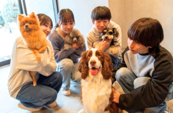 気になるコースを体験！３つのコースから１つ選べる！／群馬動物専門学校
