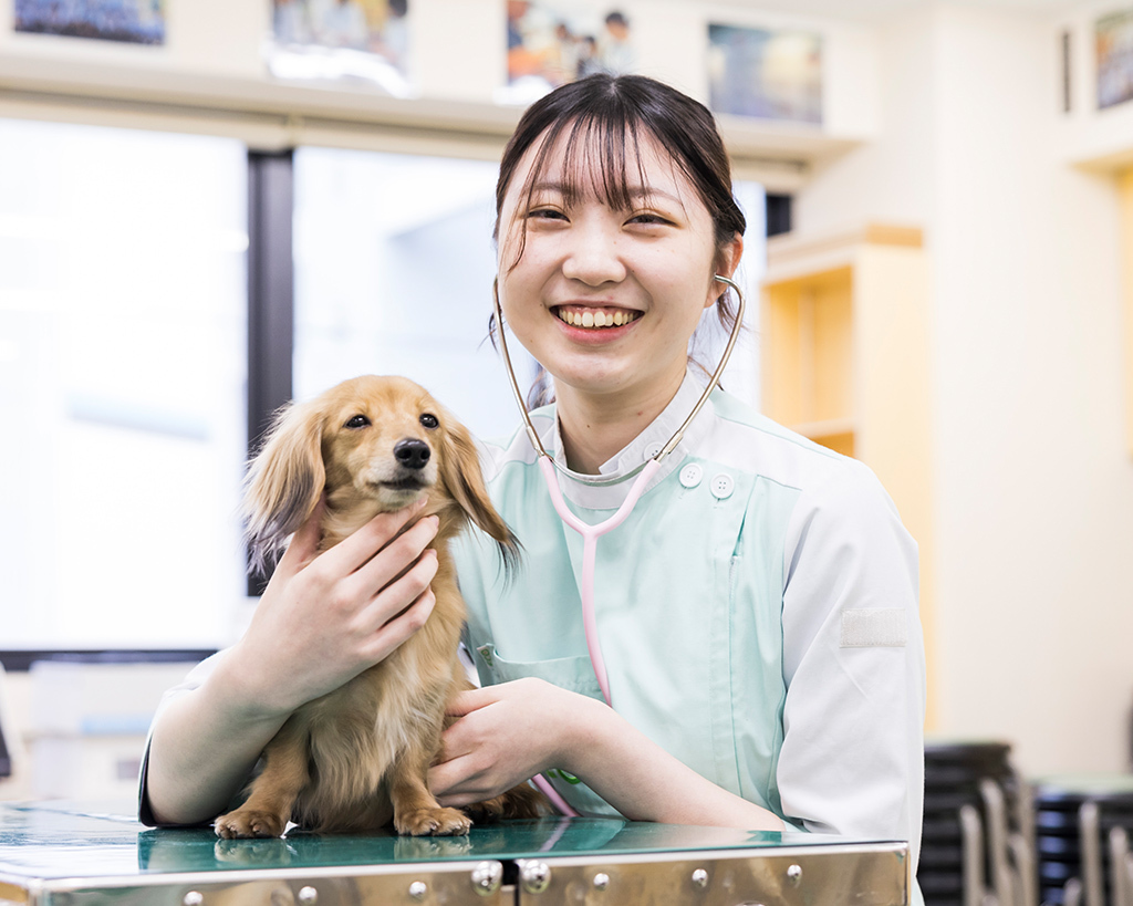 ワンちゃんの看護師さん体験／大阪ＥＣＯ動物海洋専門学校