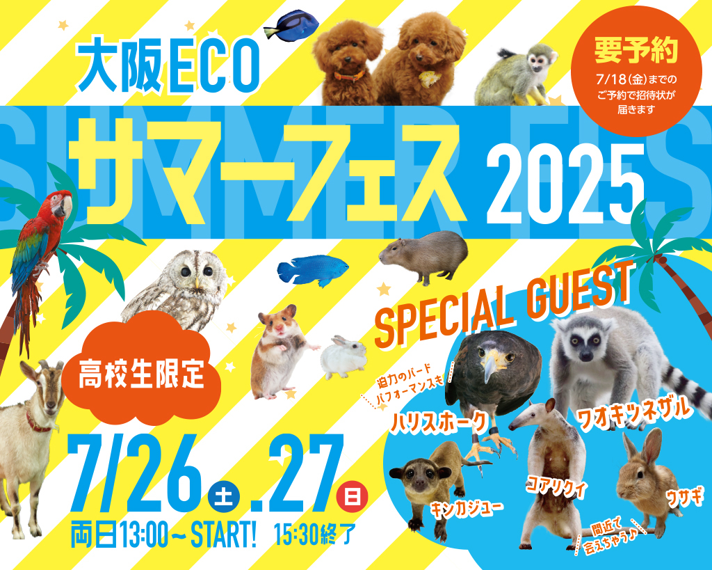 大阪ECO サマーフェス2025／大阪ＥＣＯ動物海洋専門学校