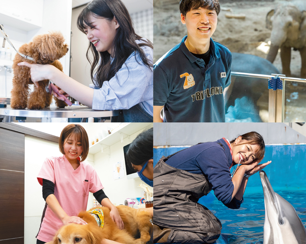 就職保護者会／大阪ＥＣＯ動物海洋専門学校