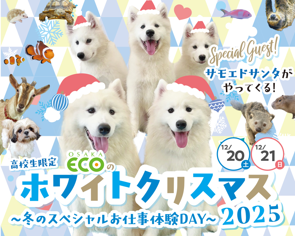 ★SPECIAL★＜高校生限定＞
大阪ECOのホワイトクリスマス／大阪ＥＣＯ動物海洋専門学校