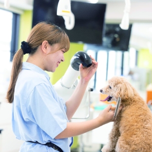 大阪ＥＣＯ動物海洋専門学校