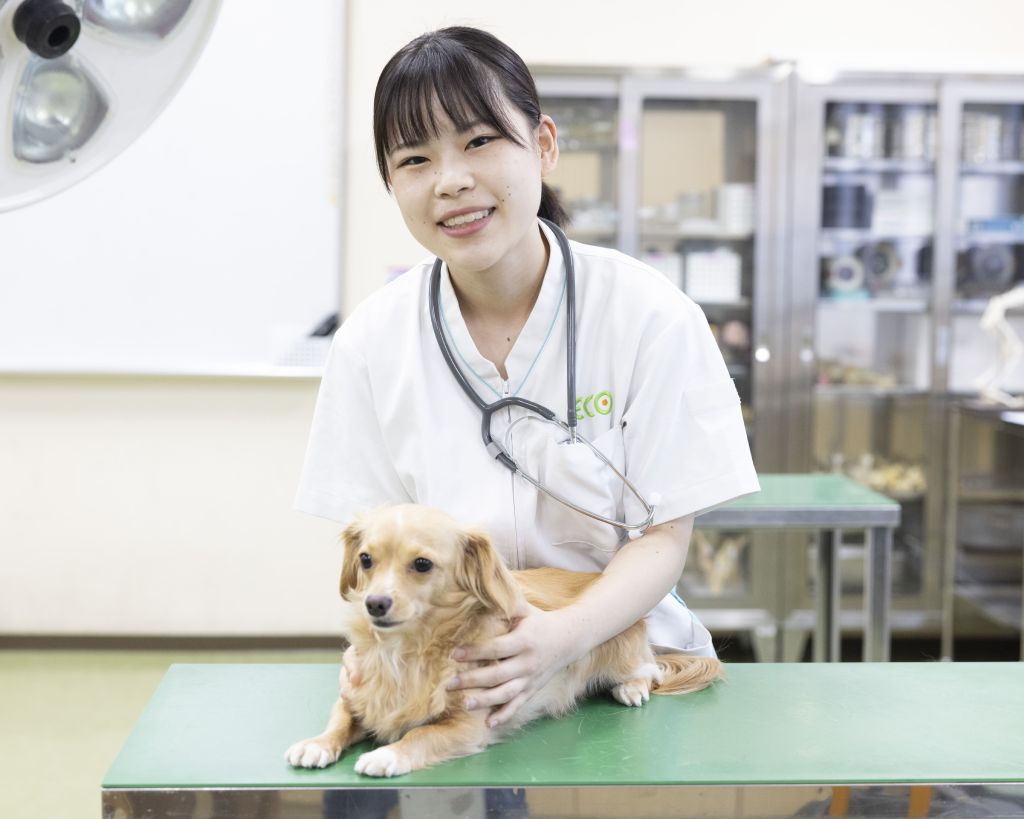 ワンちゃんの看護師さん体験／大阪ＥＣＯ動物海洋専門学校