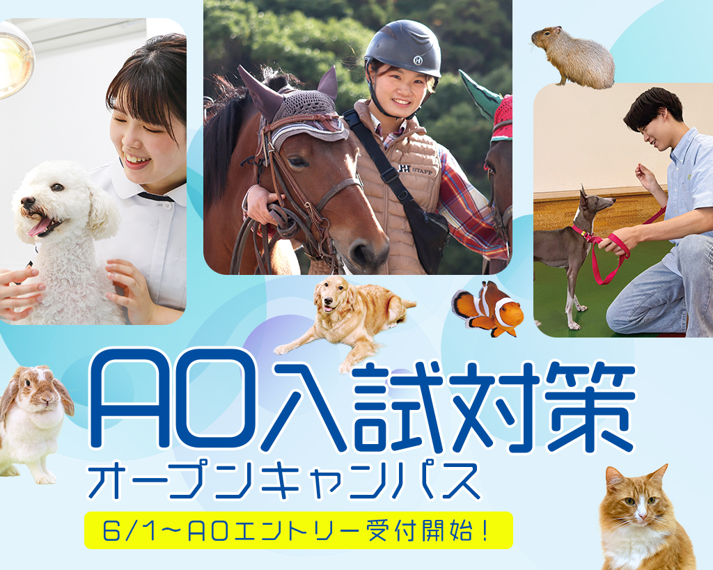 AO入試対策オープンキャンパス／大阪ＥＣＯ動物海洋専門学校