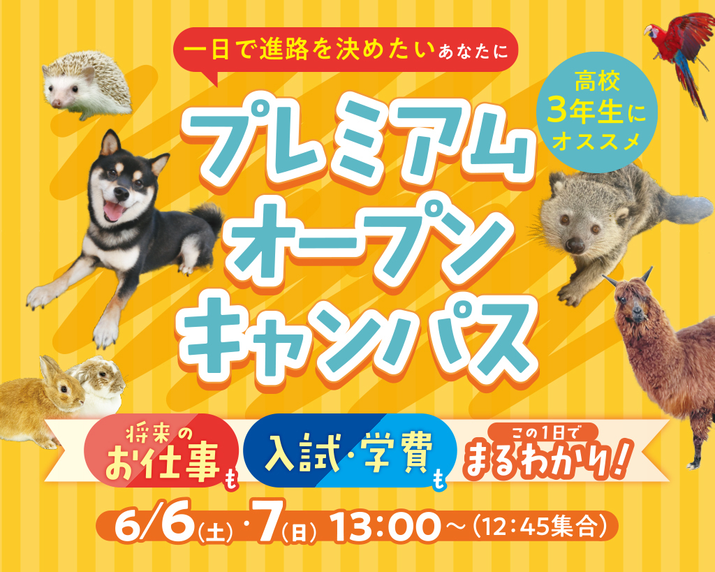 ★SPECIAL★【高校3年生にオススメ】
プレミアムオープンキャンパス／大阪ＥＣＯ動物海洋専門学校