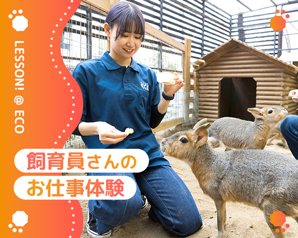 飼育員さんのお仕事体験／大阪ＥＣＯ動物海洋専門学校